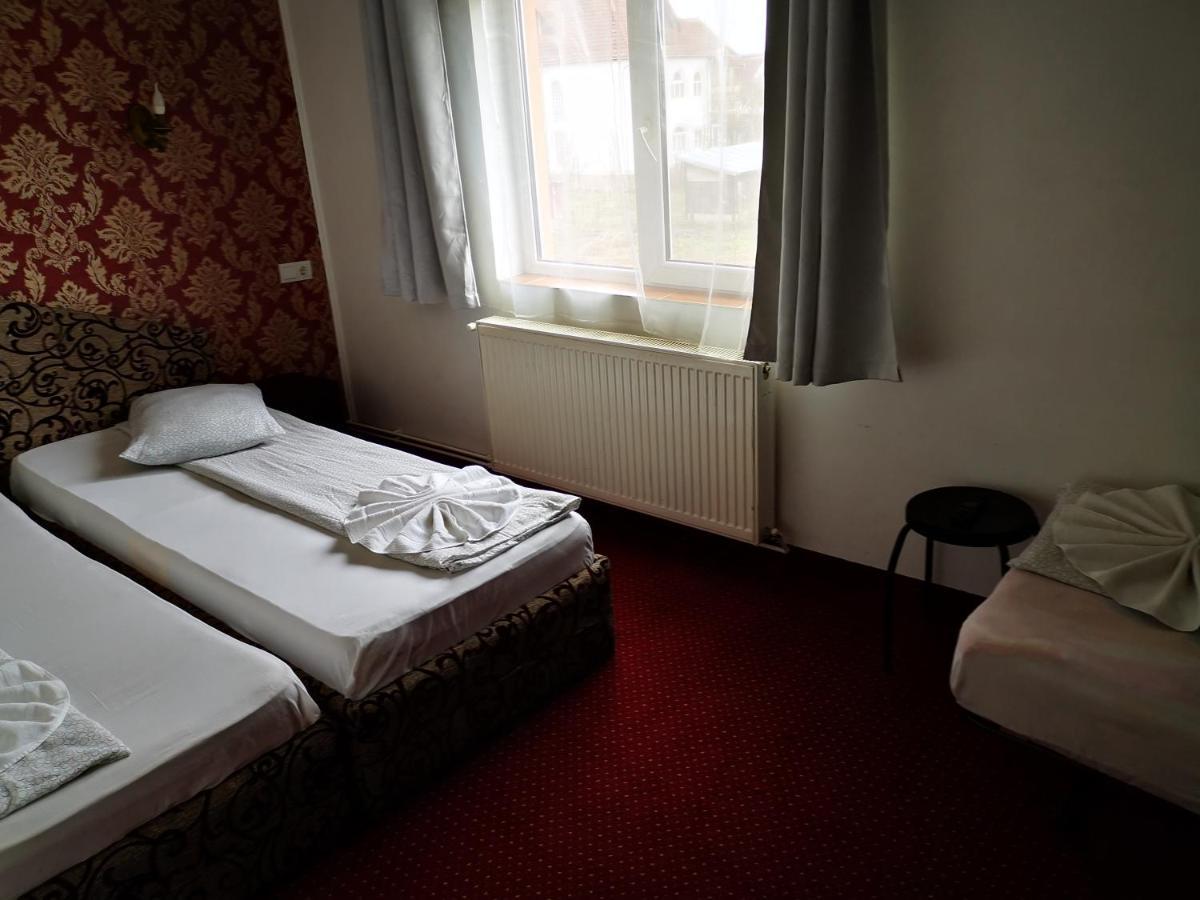 Golden Pension Тыргу-Жиу Экстерьер фото